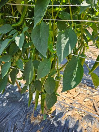 알 수 없음님의 작성글 사진