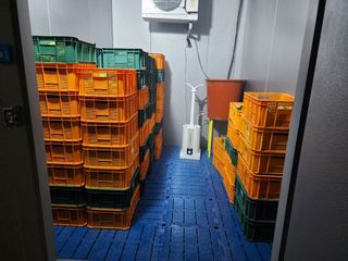 정기영님의 기타작물 · 영농일지 작성글 사진