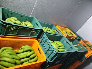 정기영님의 기타작물 · 영농일지 작성글 사진