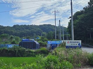 기호용님의 블루베리 · 자유게시판 작성글 사진