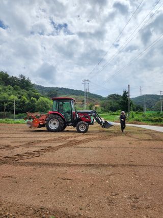 엘림농장님의 배추 · 일상 작성글 사진