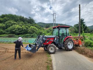 엘림농장님의 배추 · 일상 작성글 사진