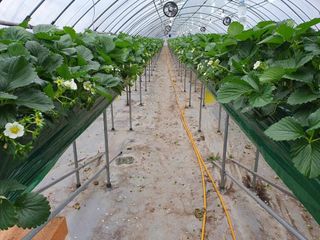 벤틀리 님의 작목반,동호회 등 나의 모임은? · 참여글 작성글 사진