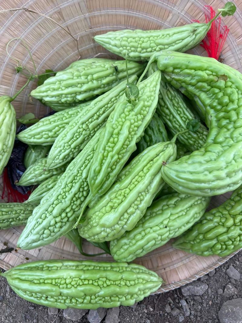 장터 상품 [여주/공심채] 썸네일