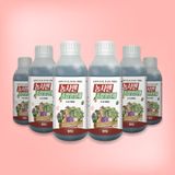 팜모닝 · 게시글 이미지