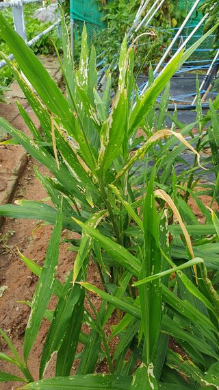 이현학님의 자유주제 · 자유게시판 작성글 사진