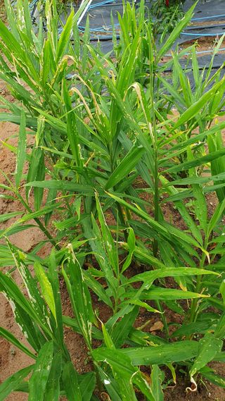 이현학님의 자유주제 · 자유게시판 작성글 사진