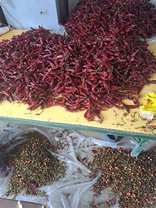 꿈드림뜨락님의 고추 · 일상 작성글 사진