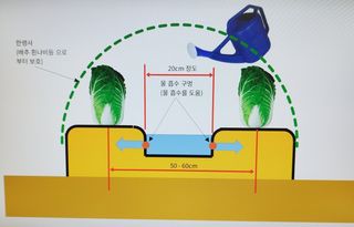 황재은님의 배추 · 토양준비 작성글 사진