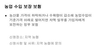 세계평화랑님의 콩 · 병해충상담 작성글 사진