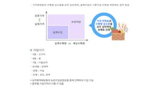 세계평화랑님의 콩 · 병해충상담 작성글 사진