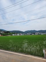 팜모닝 작목반,동호회 등 나의 모임은?·참여글 게시글 이미지