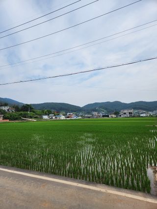 홍민환님의 작목반,동호회 등 나의 모임은? · 참여글 작성글 사진