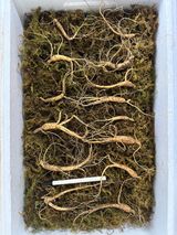 팜모닝 · 게시글 이미지