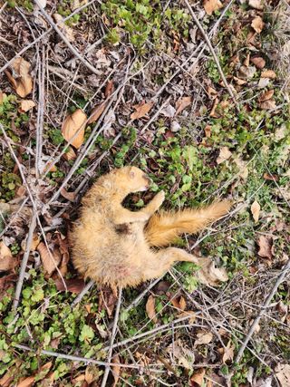 쏭이네농장(현자)님의 자유주제 · 자유게시판 작성글 사진