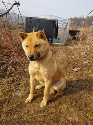 쏭이네농장(현자)님의 자유주제 · 자유게시판 작성글 사진