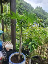 팜모닝 자유주제·자유게시판 게시글 이미지