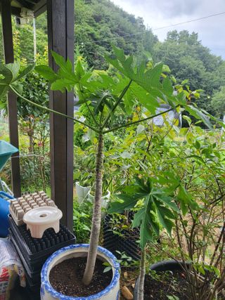 동해리님의 자유주제 · 자유게시판 작성글 사진