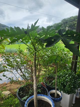 동해리님의 자유주제 · 자유게시판 작성글 사진