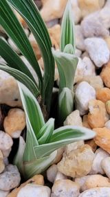 팜모닝 작목반,동호회 등 나의 모임은?·참여글 게시글 이미지