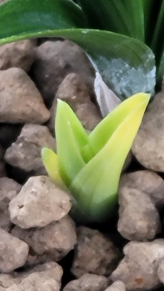 하석홍님의 작목반,동호회 등 나의 모임은? · 참여글 작성글 사진