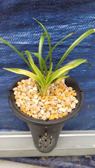 하석홍님의 작목반,동호회 등 나의 모임은? · 참여글 작성글 사진