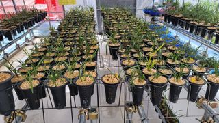 하석홍님의 작목반,동호회 등 나의 모임은? · 참여글 작성글 사진