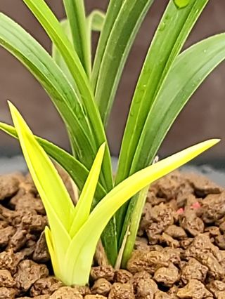 하석홍님의 작목반,동호회 등 나의 모임은? · 참여글 작성글 사진