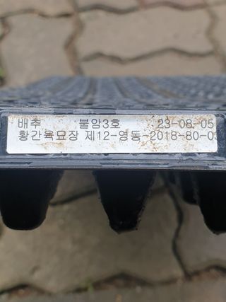 둥시감님의 배추 · 품종•종자 작성글 사진