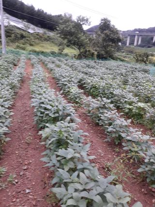 조동원님의 자유주제 · 자유게시판 작성글 사진