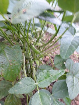 조동원님의 자유주제 · 자유게시판 작성글 사진