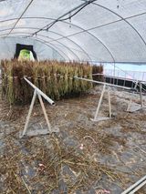 팜모닝 참깨·영농일지 게시글 이미지