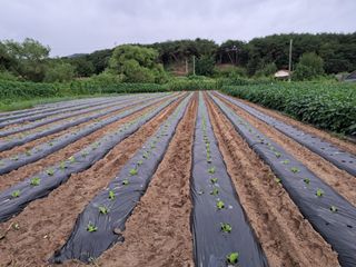 이종춘님의 자유주제 · 자유게시판 작성글 사진