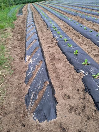 이종춘님의 자유주제 · 자유게시판 작성글 사진