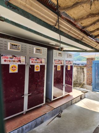 꽃순이네님의 고추 · 수확 작성글 사진