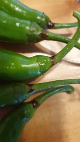 팜모닝 고추·병해충상담 게시글 이미지