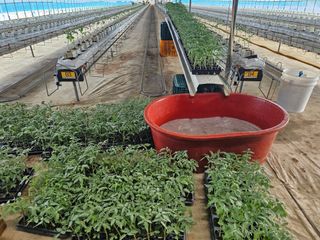 김민식 님의 작목반,동호회 등 나의 모임은? · 참여글 작성글 사진