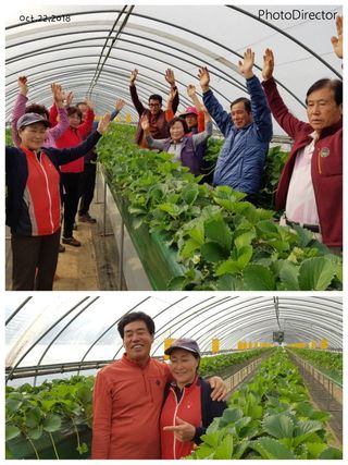 논산. 이순자님의 작목반,동호회 등 나의 모임은? · 참여글 작성글 사진