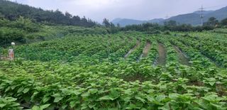 알 수 없음님의 작목반,동호회 등 나의 모임은? · 참여글 작성글 사진