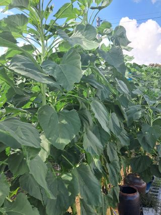 리포님의 자유주제 · 자유게시판 작성글 사진