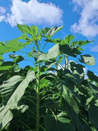 리포님의 자유주제 · 자유게시판 작성글 사진