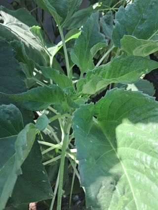 리포님의 자유주제 · 자유게시판 작성글 사진