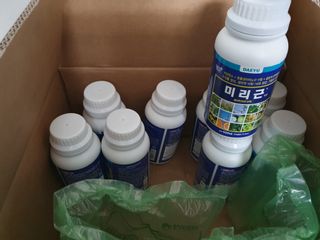 정종필님의 콩 · 자유게시판 작성글 사진