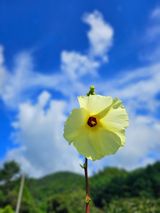 팜모닝 자유주제·자유게시판 게시글 이미지