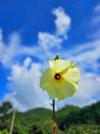 이형록님의 자유주제 · 자유게시판 작성글 사진