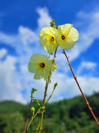 이형록님의 자유주제 · 자유게시판 작성글 사진