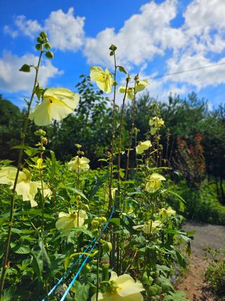 이형록님의 자유주제 · 자유게시판 작성글 사진