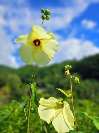 이형록님의 자유주제 · 자유게시판 작성글 사진