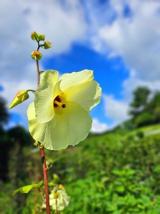 이형록님의 자유주제 · 자유게시판 작성글 사진