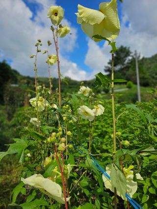 이형록님의 자유주제 · 자유게시판 작성글 사진